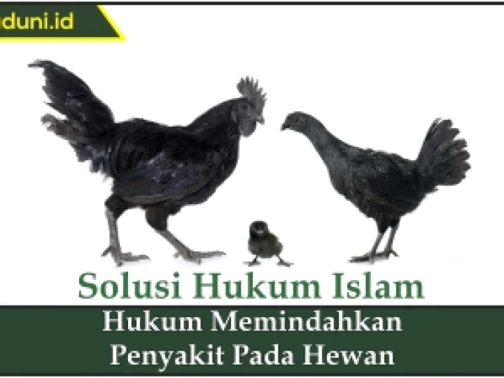 Hukum Memindahkan Penyakit pada Hewan