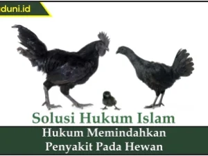 Hukum Memindahkan Penyakit pada Hewan
