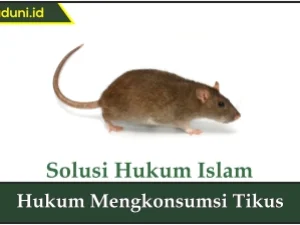 Hukum Mengkonsumsi Tikus
