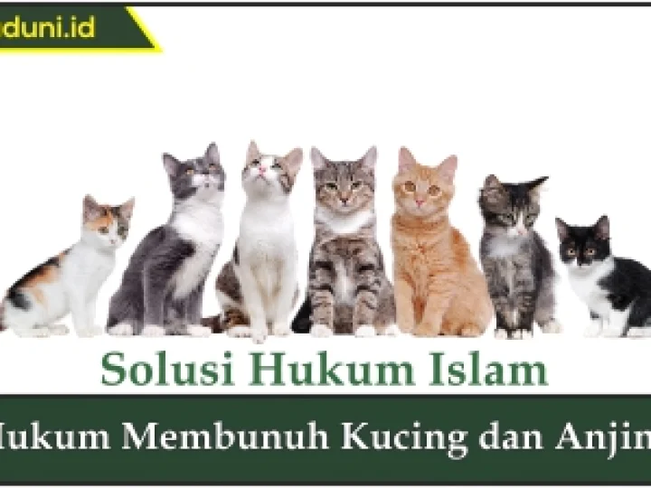 Hukum Membunuh Kucing dan Anjing