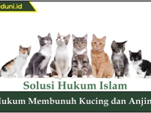 Hukum Membunuh Kucing dan Anjing