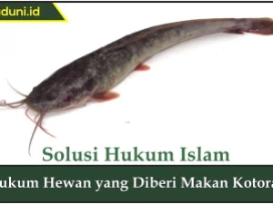 Hukum Hewan yang Diberi Makan Kotoran