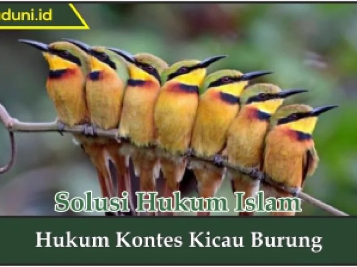 Hukum Kontes Kicau Burung