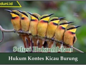 Hukum Kontes Kicau Burung