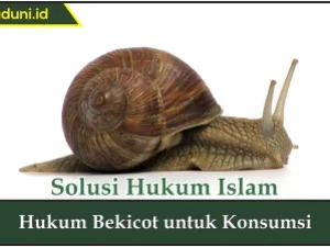 Hukum Bekicot untuk Konsumsi