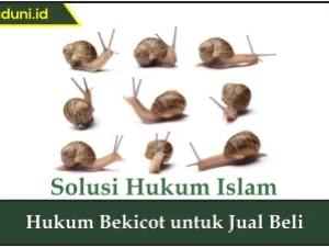 Hukum Bekicot untuk Jual Beli