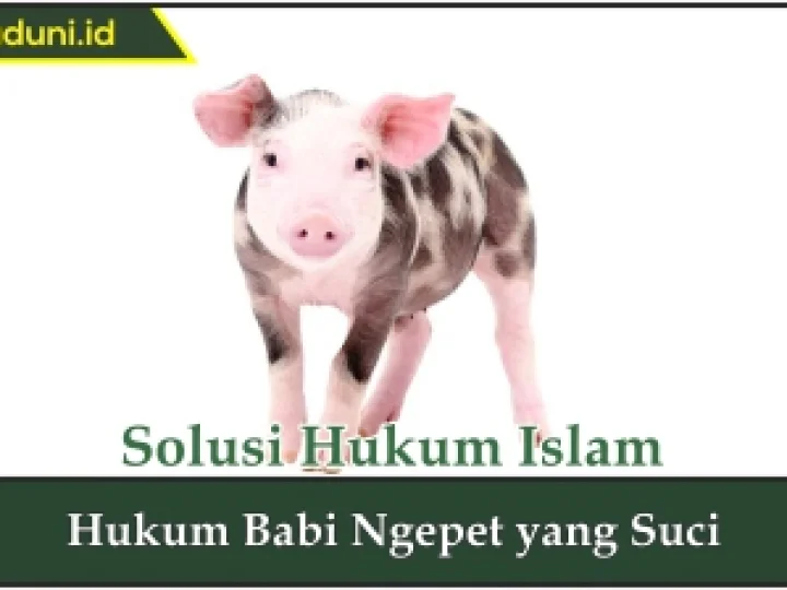 Hukum Babi Ngepet