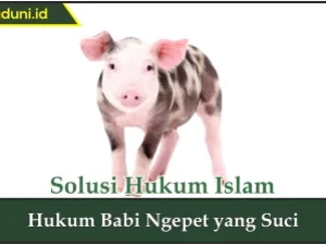 Hukum Babi Ngepet