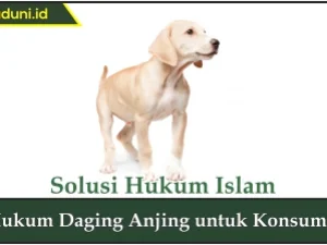 Hukum Daging Anjing untuk Konsumsi