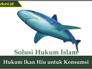 Hukum Ikan Hiu untuk Konsumsi