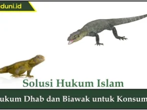 Hukum Dhab dan Biawak untuk Konsumsi