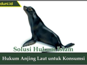 Hukum Anjing Laut untuk Konsumsi