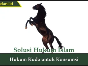 Hukum Kuda untuk Konsumsi
