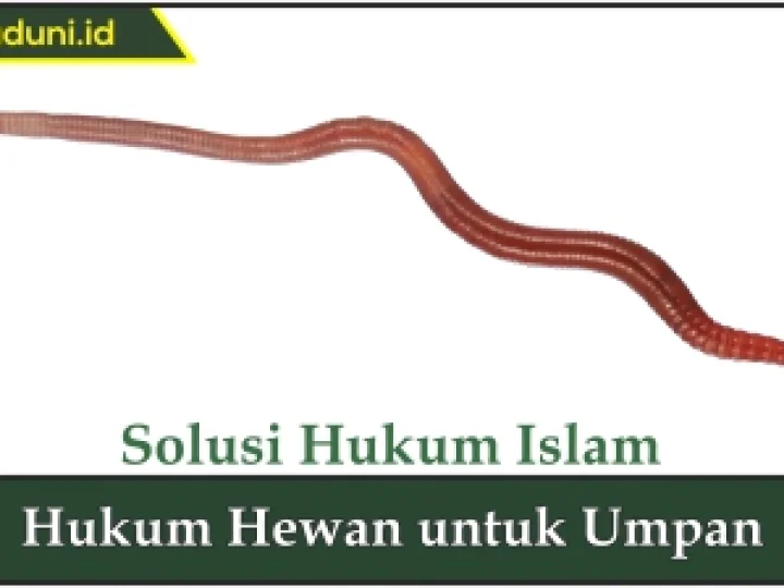 Hukum Hewan untuk Umpan