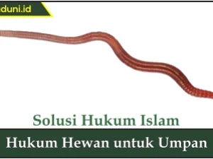 Hukum Hewan untuk Umpan