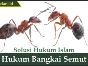 Hukum Bangkai Semut