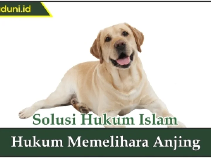 Hukum Memelihara Anjing
