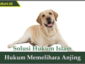 Hukum Memelihara Anjing
