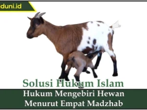 Hukum Mengebiri Hewan Menurut Empat Madzhab