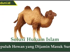 Sepuluh Hewan yang Dijamin Masuk Surga