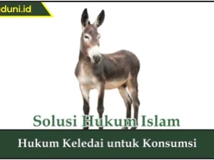 Hukum Keledai untuk Konsumsi