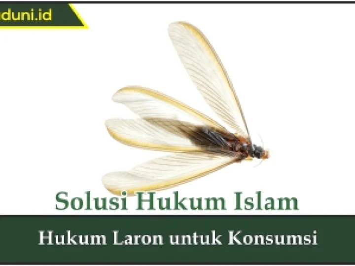 Hukum Laron untuk Konsumsi