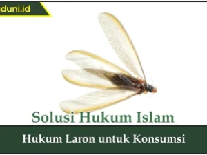 Hukum Laron untuk Konsumsi