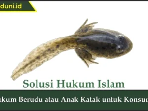Hukum Berudu atau Anak Katak untuk Konsumsi