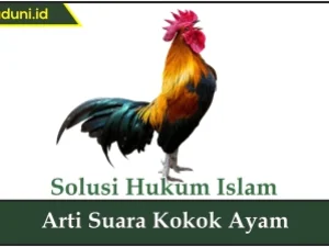 Arti Suara Kokok Ayam