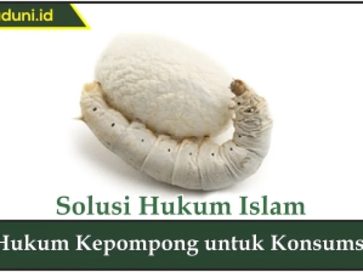 Hukum Kepompong untuk Konsumsi