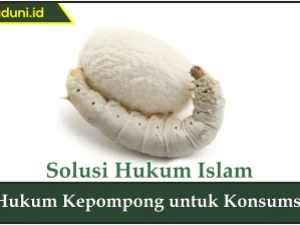 Hukum Kepompong untuk Konsumsi