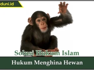 Hukum Menghina Hewan