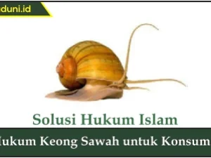 Hukum Keong Sawah untuk Konsumsi