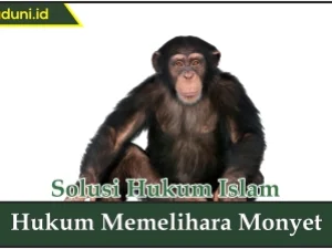 Hukum Memelihara Monyet