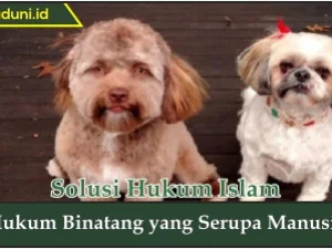 Hukum Binatang yang Serupa Manusia