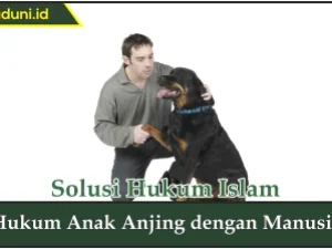 Hukum Anak Anjing dengan Manusia