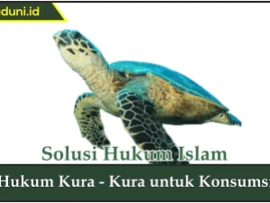 Hukum Kura-Kura untuk Konsumsi