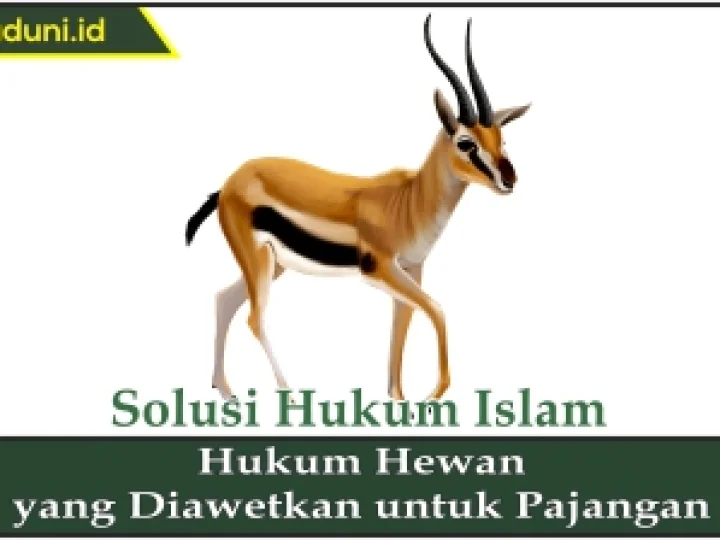 Hukum Hewan yang Diawetkan untuk Pajangan