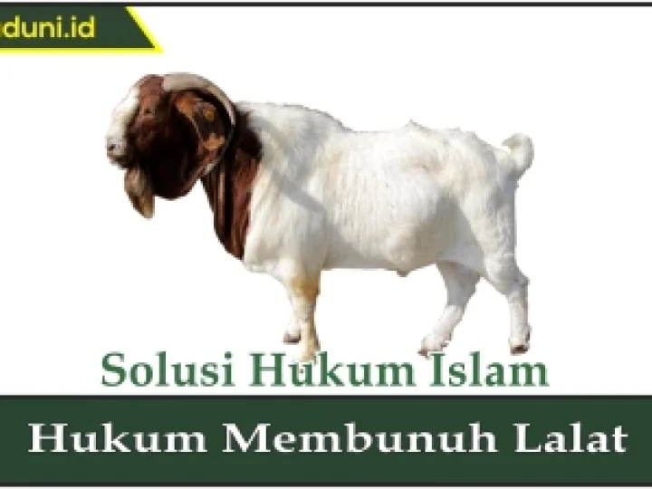Hukum Anak Kambing yang Menyusu pada Anjing