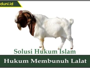 Hukum Anak Kambing yang Menyusu pada Anjing
