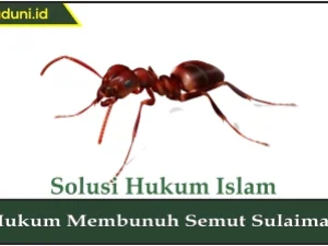Hukum Membunuh Semut Sulaiman