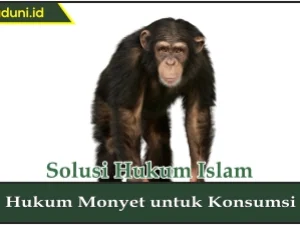 Hukum Monyet untuk Konsumsi