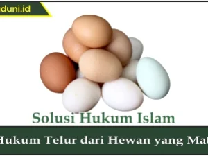 Hukum Telur dari Hewan yang Mati