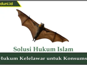 Hukum Kelelawar untuk Konsumsi