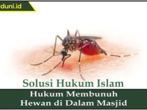 Hukum Membunuh Hewan di dalam Masjid
