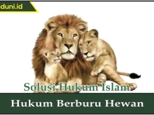 Hukum Berburu Hewan
