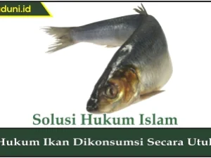 Hukum Ikan Dikonsumsi Secara Utuh
