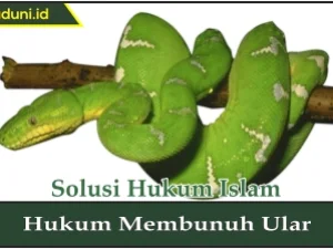 Hukum Membunuh Ular