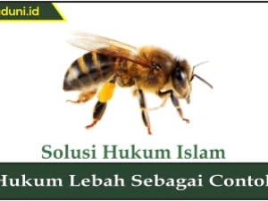 Hukum Lebah Sebagai Contoh