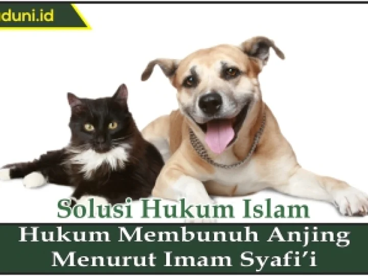 Hukum Membunuh Anjing Menurut Imam Syafi'i